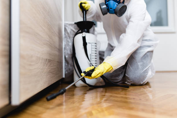 Best Pest Control Near Me  in Rancho Santa Fe, CA