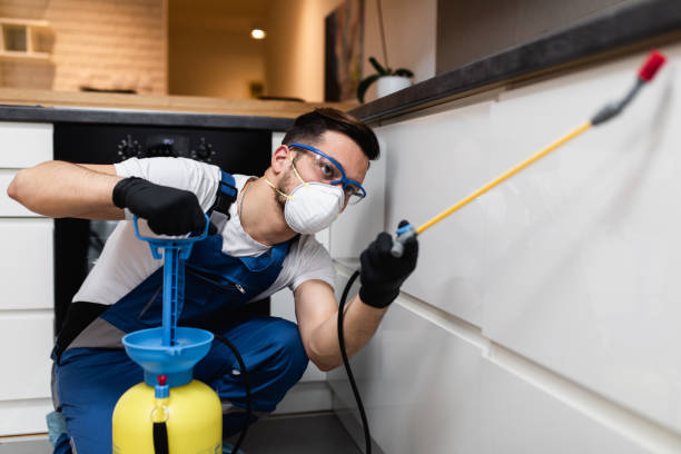 Best Termite Control Services  in Rancho Santa Fe, CA