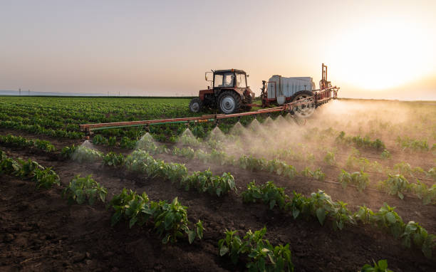 Best Mosquito Control Services  in Rancho Santa Fe, CA