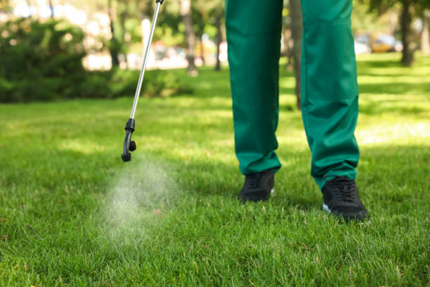 Best Exterminator Services  in Rancho Santa Fe, CA