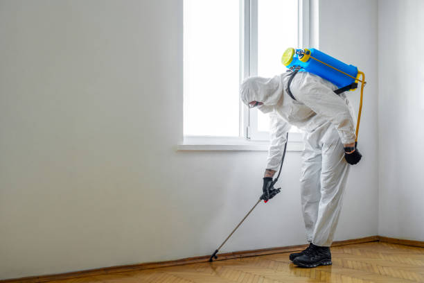 Best Bed Bug Extermination  in Rancho Santa Fe, CA