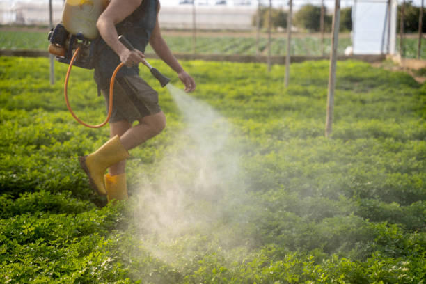 Best Pest Prevention Services  in Rancho Santa Fe, CA