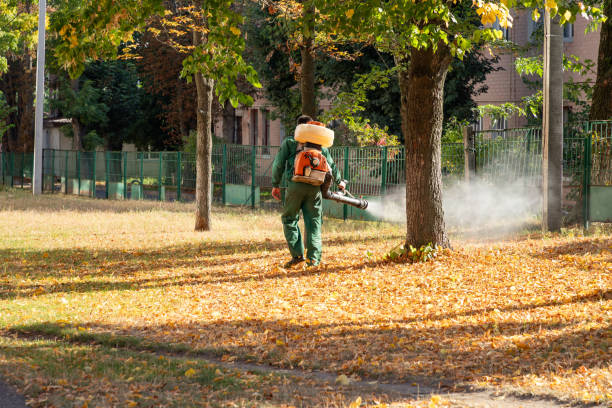 Pest Control for Restaurants in Rancho Santa Fe, CA