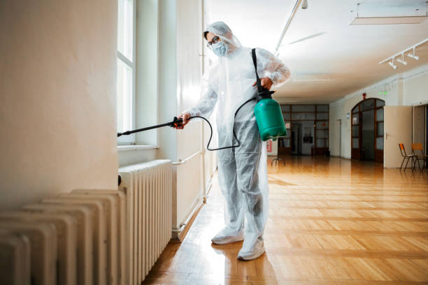 Best Rat Extermination Near Me  in Rancho Santa Fe, CA